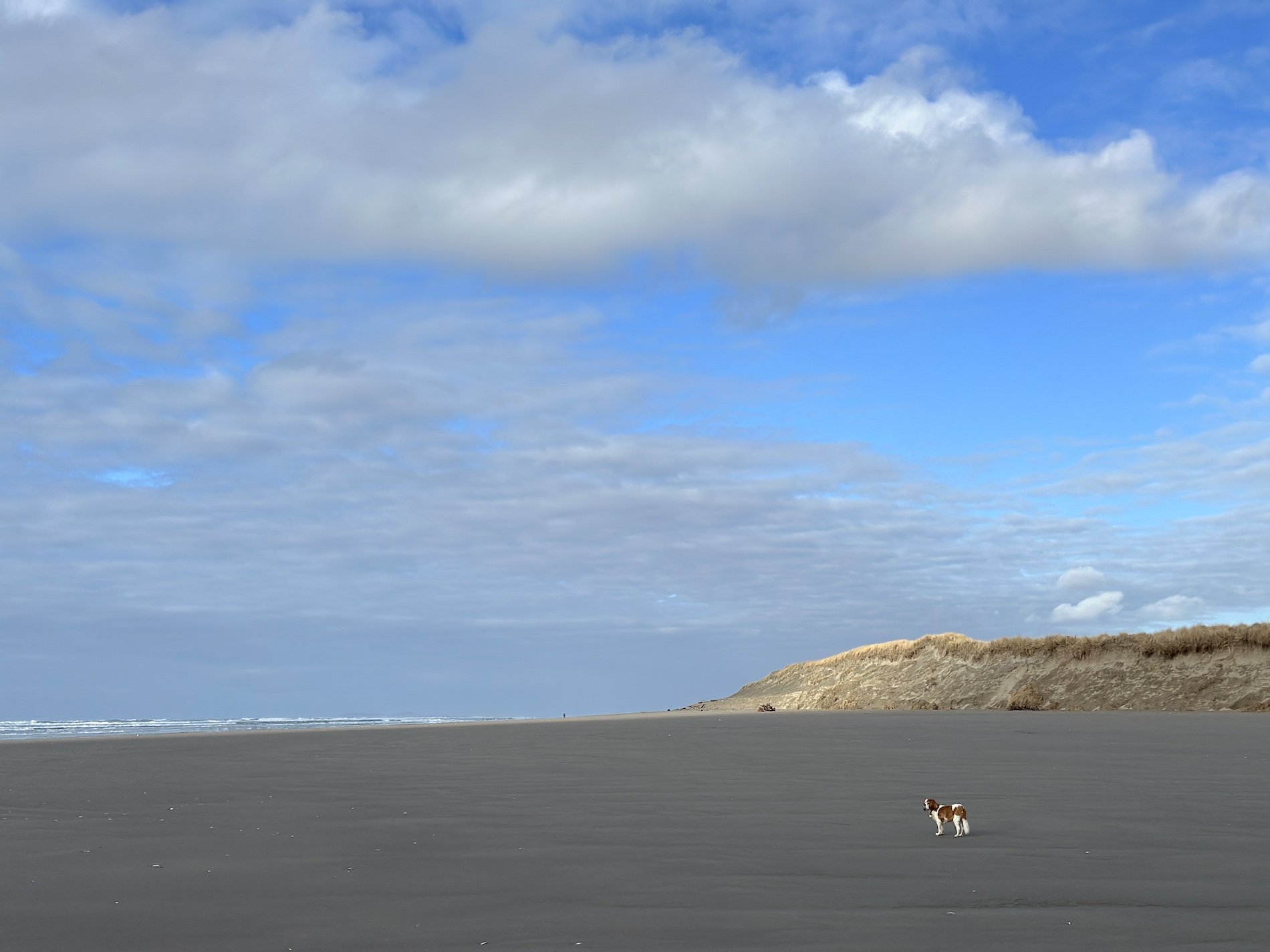 Normanbeachlargeseascape