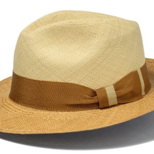 Theprovencehat